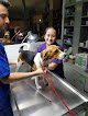 Negocio Hospital Veterinario Camcor