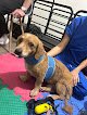 Hospital Veterinario De Especialidades Toledo