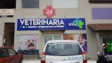 Negocio Hospital Veterinario De Monterrey