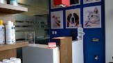 Negocio Hospital Veterinario De Puebla Unidad Lomas