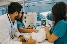 Negocio Hospital Veterinario De Puebla Unidad Recta 24/7