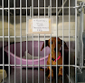 Negocio Hospital Veterinario Del Valle24Hr