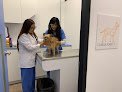 Negocio Hospital Veterinario Delta Prevent