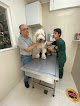Negocio Hospital Veterinario Dog Life