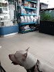 Negocio Hospital Veterinario Dr. Guerrero