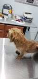 Hospital Veterinario Dr.serna