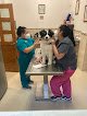 Negocio Hospital Veterinario Durango