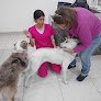 Hospital Veterinario Econo Pet's