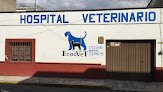 Negocio Hospital Veterinario Ecovet