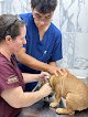 Hospital Veterinario El Caporal San Carlos