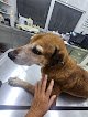 Hospital Veterinario+ El Niño De Atocha