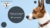 Hospital Veterinario Júpiter