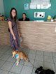 Negocio Hospital Veterinario Marvet