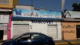 Hospital Veterinario Mascovet