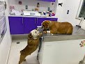 Negocio Hospital Veterinario Mayan Pets