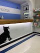 Negocio Hospital Veterinario Medican Center