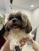 Hospital Veterinario Mercy 24 Hrs