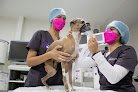 Hospital Veterinario Muno