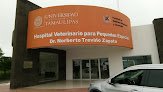 Negocio Hospital Veterinario Para Pequeñas Especies
