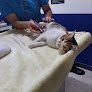 Negocio Hospital Veterinario Pet Life