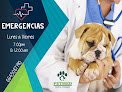 Hospital Veterinario Petmed