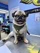 Negocio Hospital Veterinario Pets Smart