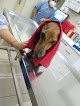 Hospital Veterinario Pet´s
