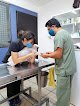 Hospital Veterinario Querétaro