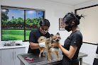 Hospital Veterinario Regiomontano