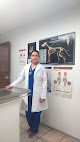 Negocio Hospital Veterinario Roma