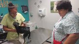 Hospital Veterinario San Agustín