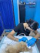 Negocio Hospital Veterinario Sexta Mascota