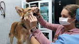 Negocio Hospital Veterinario Sos