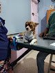 Hospital Veterinario Tabasco