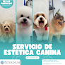 Hospital Veterinario Veterinum