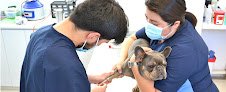 Negocio Hospital Veterinario Westcare Polanco