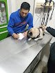 Negocio Hospital Veterinario Whippet