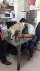Negocio Hospital Veterinario Xolo