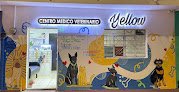 Negocio Laboratorio Y Centro Médico Veterinario Yellow
