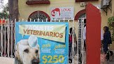 Negocio Love Hospital Animal
