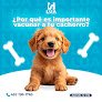 Negocio Lua Hospital Veterinario
