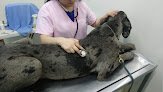 Medical Pet´s
