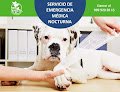 Medicina Y Cirugía Para Perros Y Gatos. Planeta Animal