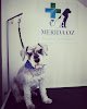 Negocio Merida Oz Hospital Veterinario