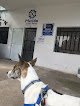 Módulo Veterinario Municipal Oriente