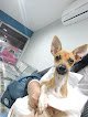 Negocio Monte Sion Clínica Veterinaria