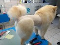 Pascal Hospital Veterinario Y Estética Canina, Sucursal 16 De Septiembre