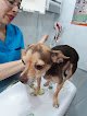 Pascal Hospital Veterinario Y Estética Canina
