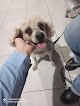 Negocio Peiró Veterinaria