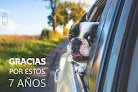 Pekepet Hospital Veterinario